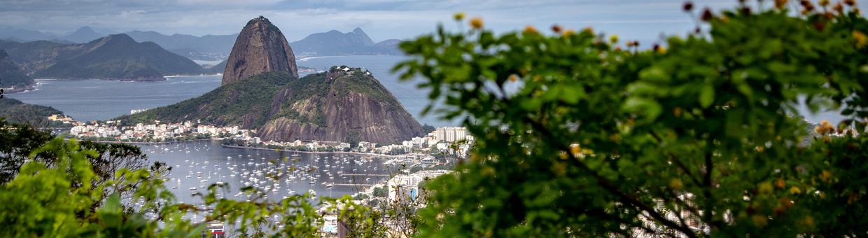 From Lula to Tarcísio: Brazilian Political Dynamics and Institutional Drivers